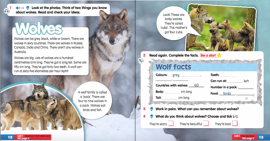 About Wolves for Kids. Fact file о волке. Fact file о волке на английском. Wolf for children.