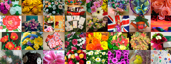 collage-site.jpg collage-site.jpg