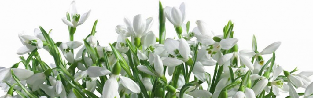 slider-8-march-2016.jpg slider-8-march-2016.jpg