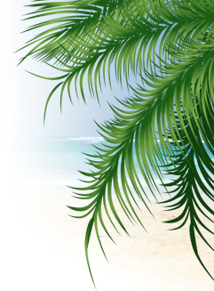 palm2.jpg palm2.jpg
