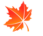 icon-leaf-1.png