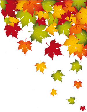 leaves.png leaves.png